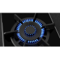 Plaque gaz NEFF N23TS19N0 - N 90, DOMINO GAZ, 30 CM, VITROCERAMIQUE, NOIR Plaque gaz NEFF N23TS19N0 - N 90, DOMINO GAZ, 30 CM, VITROCERAMIQUE, NOIR