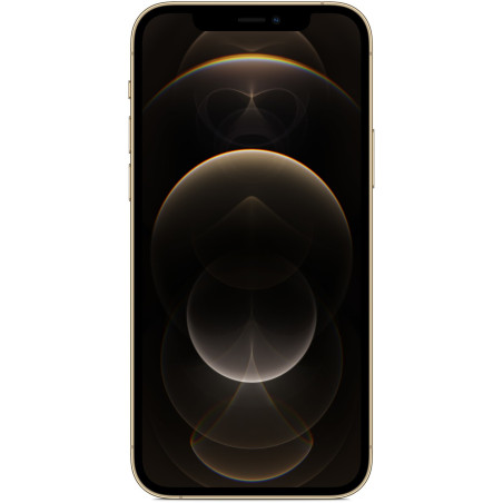 iPhone 12 Pro 6,1" 256 Go Double SIM 5G Or