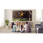 TV LED TCL TV QLED TCL 65C635 165 CM 4K GOOGLE TV HDMI 2.1 SON ONKYO DOLBY ATMOS