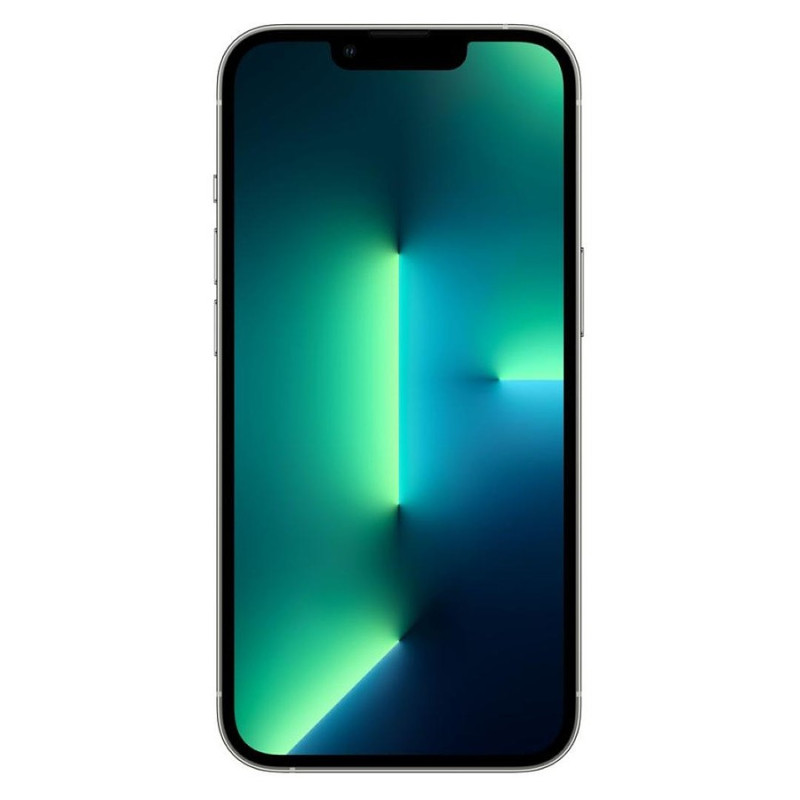 iPhone 13 Pro Argent - 1 To iPhone 13 Pro Argent - 1 To