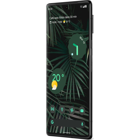 Google Pixel 6 Pro 6,7" 5G Double SIM 128 Go Noir Carbone