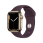 Apple Watch Series 7 GPS + Cellular, boîtier Acier Inoxydable Or 45mm avec Bracelet Cerise Noire Apple Watch Series 7 GPS + Cellular, boîtier Acier Inoxydable Or 45mm avec Bracelet Cerise Noire