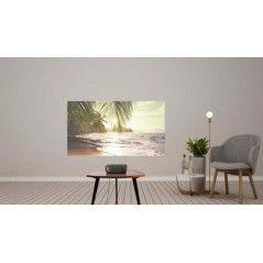 Anker - Vidéoprojecteur WiFi LCD Nebula Prizm 2 PRO - Noir