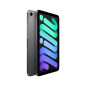 Apple iPad Mini 8,3" 256 Go Gris sidéral 5G 6 ème génération 2021