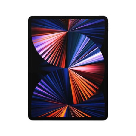 iPad Pro 12,9" Puce Apple M1 256 Go Wifi + Cellular 5e génération Gris sidéral Mi 2021