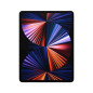 iPad Pro 11" Puce Apple M1 256 Go Wifi + Cellular 3e génération Gris sidéral Mi 2021 iPad Pro 11" Puce Apple M1 256 Go Wifi + Cellular 3e génération Gris sidéral Mi 2021