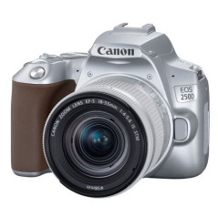 Reflex Canon EOS 250D Argent + Objectif EF-S 18-55 mm f/4-5.6 IS STM