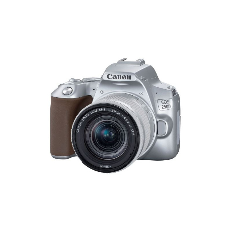 Reflex Canon EOS 250D Argent + Objectif EF-S 18-55 mm f/4-5.6 IS STM