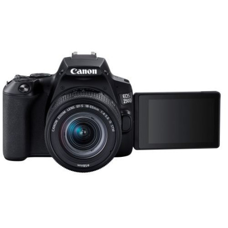Appareil photo numérique reflex CANON EOS 250D Noir EF-S 18-55 IS STM