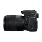 Appareil Photo Reflex Canon EOS 77D + Objectif 18-135mm F/3,5-5,6 IS